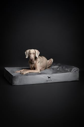XL Dog Bed 45x35x9.1 Inch (Velvet - Grey / X-Large)