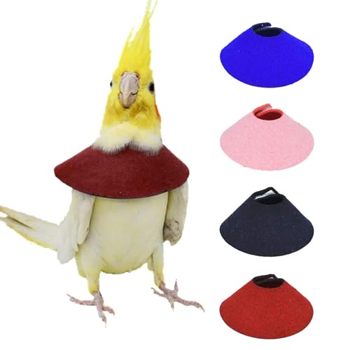 4Pack Parrot Anti (M - Suitable for Lovebird)