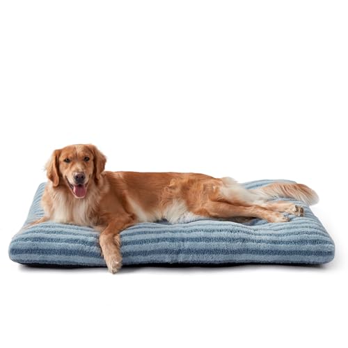 Washable XL Dog Bed for Extra Large Dogs (Blue / 40.0"l x 27.0"w x 3.5"th)
