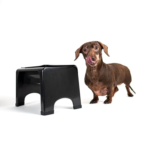 Elevated Dog Bowl for Food Minimize Neck Strain (Small to Medium / Black)
