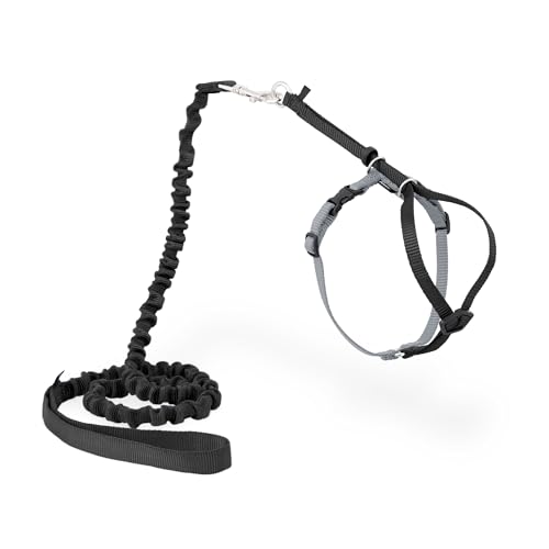 Come With Me Kitty Harness and Bungee Leash (Medium (Pack of 1) / Black)