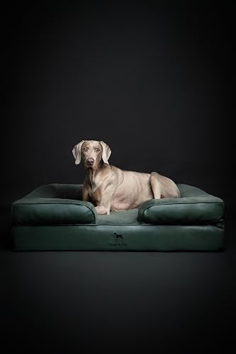 XL Dog Bed 45x35x11 Inch (Vegan Leather - Green / X-Large)