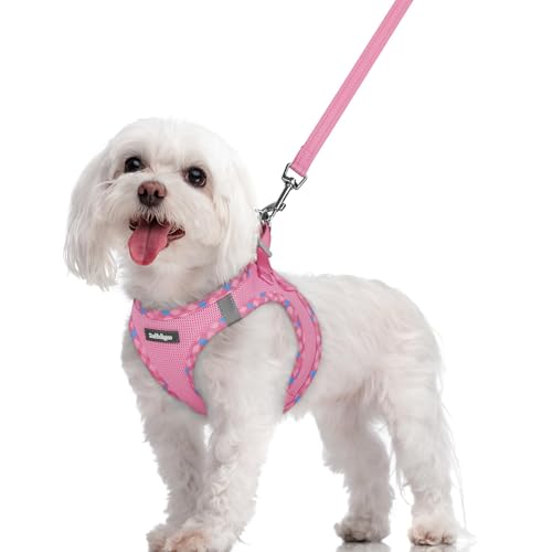 Dog Harness Medium Sized and Leash Set (Pink & Plaid Trim / M (chest: 16 - 18.5"))