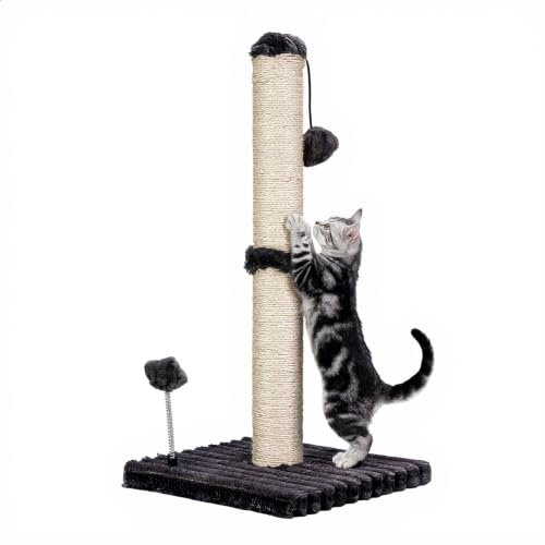 Cat Scratching Post Premium Basics Kitten Scratcher Sisal Scratch Posts with Hanging Ball 22in for Kittens or Smaller Cats (22 inches for kitten / Charcoal Gray)