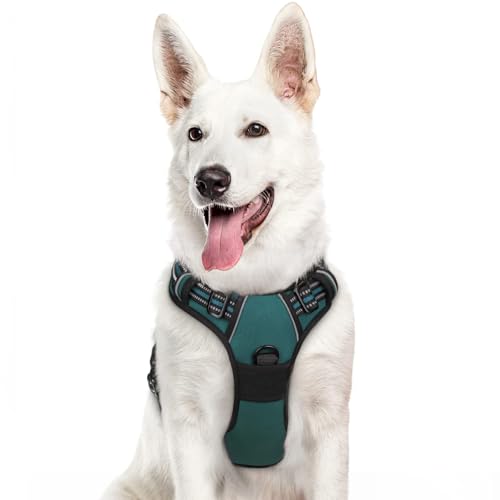 Dog Harness for Large Dogs (X-large / Dark Green)