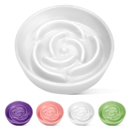 Ceramic Slow Feeder Dog Bowls Small Breed (S-0.6 Cups / 01-White)