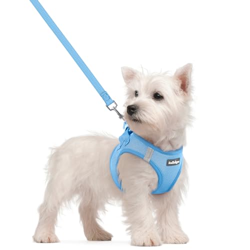 Dog Harness Small Sized and Leash Set (Blue / S (chest: 15.1 - 16.5"))