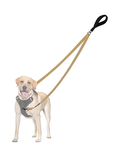 Two Point Control Dog Leash (Khaki)