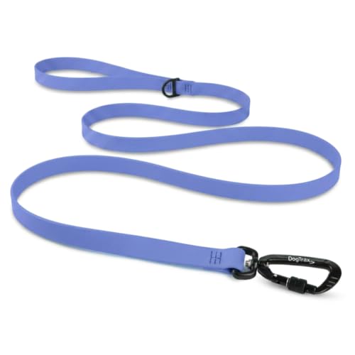 Essential Biothane Dog Leash (Periwinkle / 3/4 In x 3 Feet)