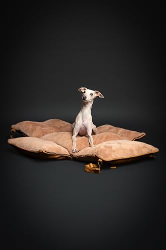 Small Dog Car Seat for Small Medium Pets with Harness Clip (Camel / Medium)