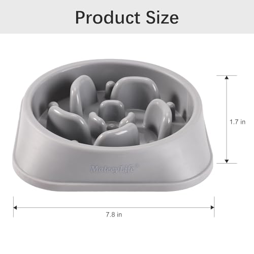 1 Pack Slow Feeder Dog Bowls (I-Gray / Medium)