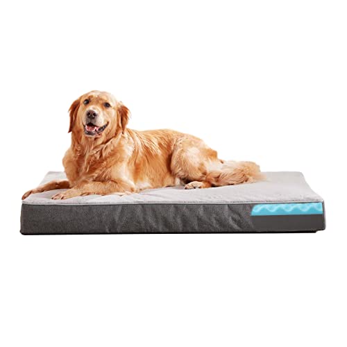 Orthopedic Memory Foam Dog Bed (Purple Grey / X-Large-41"x 29" x 4")