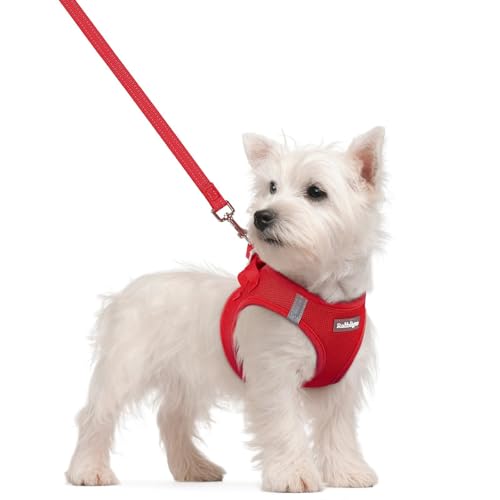 Dog Harness Small Sized and Leash Set (Red / S (chest: 15.1 - 16.5"))
