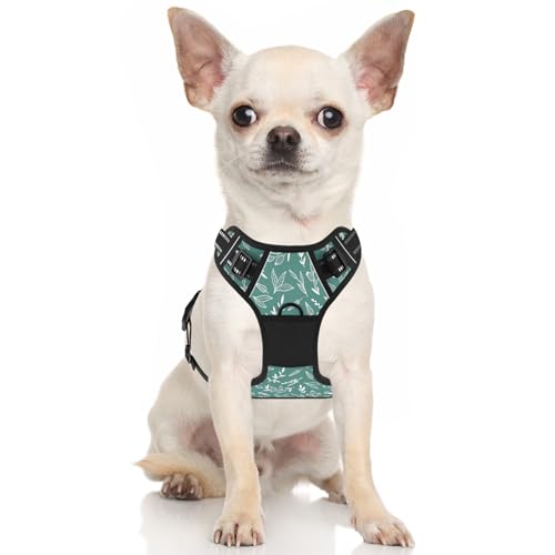 No Pull Dog Harness (Green Leaves / Small)
