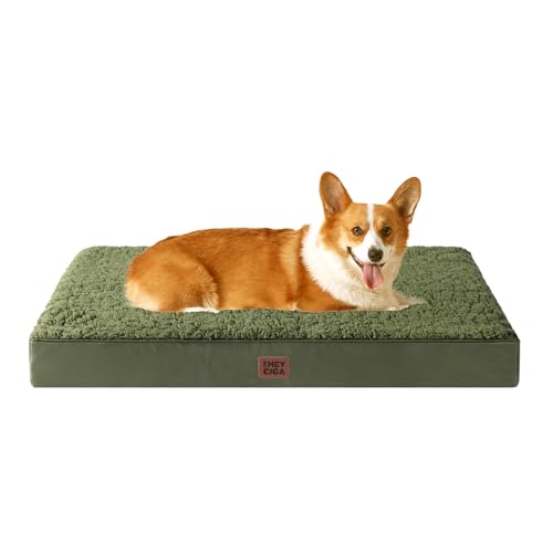 Orthopedic Dog Bed Large with Removable Washable Cover (35*23*3.5 inches / Olive Green)