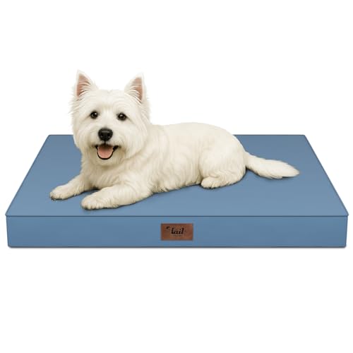 Waterproof Orthopedic Dog Crate Bed for Small Dogs & Cats (Blue / 23.0"L x 17.0"W x 2.5"Th)
