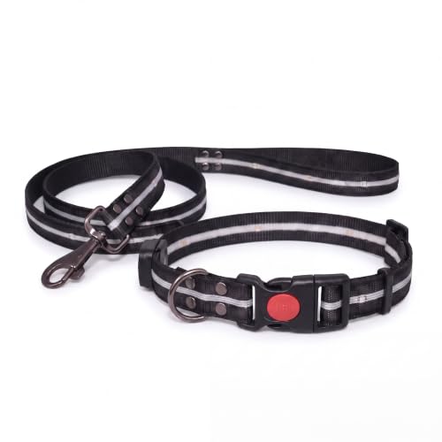 LED Dog Collar & 4 Foot Leash (Black)