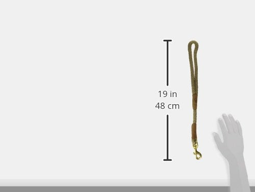 Traffic Leash (16 in / Tan)