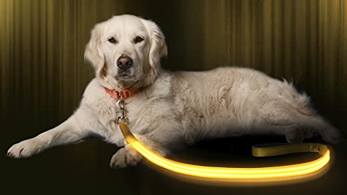 LED Light Up Dog Leash (4 Feet / Sunburst Yellow)