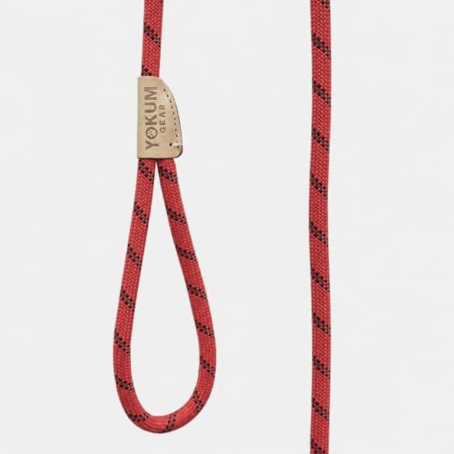 12ft No Choke Leash Long Rope Dog Leash (12 Ft / RED)