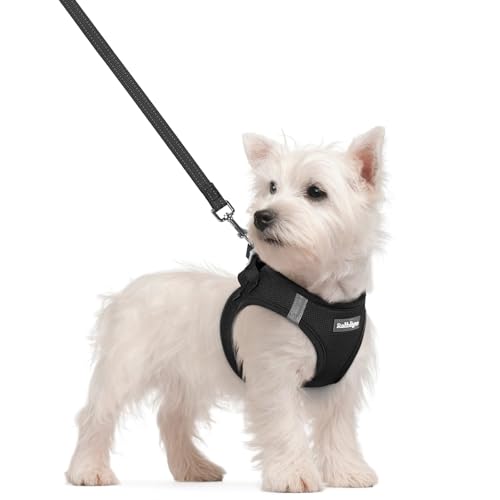 Dog Harness Small Sized and Leash Set (Black / S (chest: 15.1 - 16.5"))