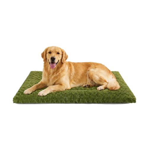 Washable Dog Bed Mat Large Size Fluffy Pet Crate Pad 42x28 XL (Green / 42.00" x 28.00" x 1.50")