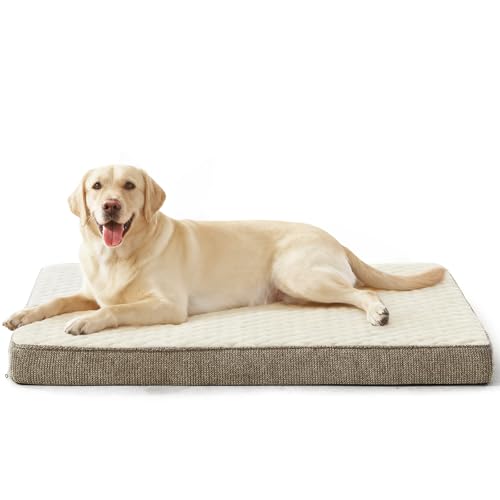 Orthopedic Dog Bed XL (XL(41"x27") / Beige)