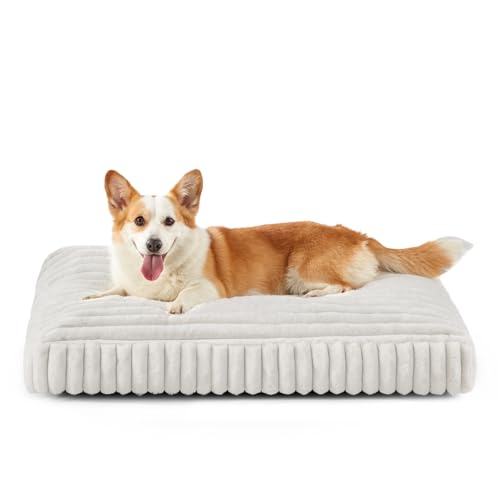 Dog Bed Medium Size Dog (White / M(29"x21"x3"))