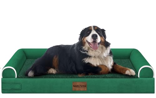 Orthopedic Dog Bed for Jumbo Dogs (Emerald / 53.0"L x 42.0"W x 6.5"Th)