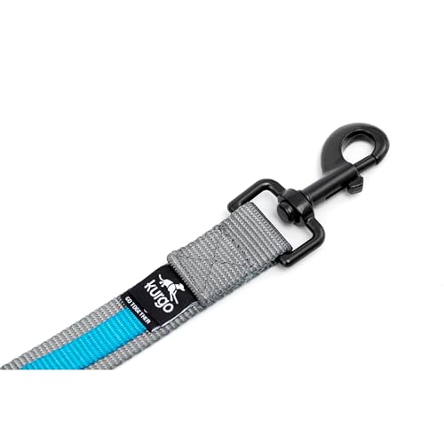 Quantum 6 in 1 Dog Leash (Black)