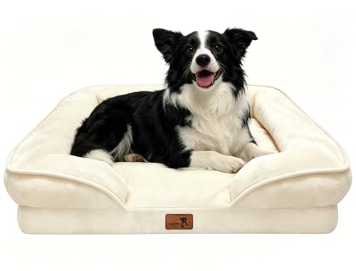 Orthopedic Dog Bed with Sides (35.0"L x 25.0"W x 6.5"Th / Ivory)