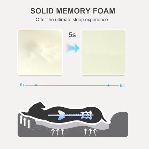 Large Memory Foam Dog Bed (Large-36"x27")