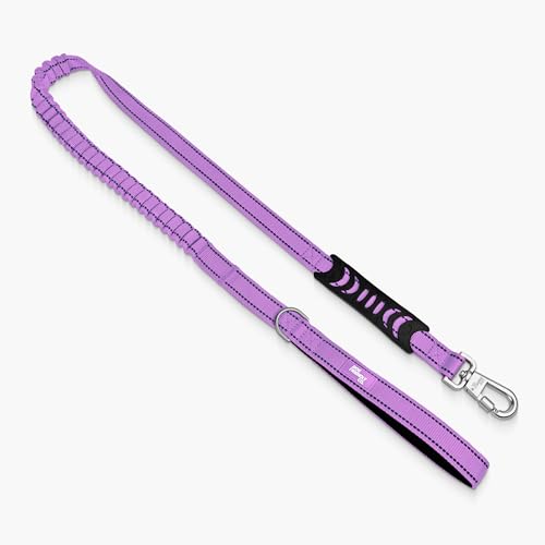 Bungee Dog Leash
