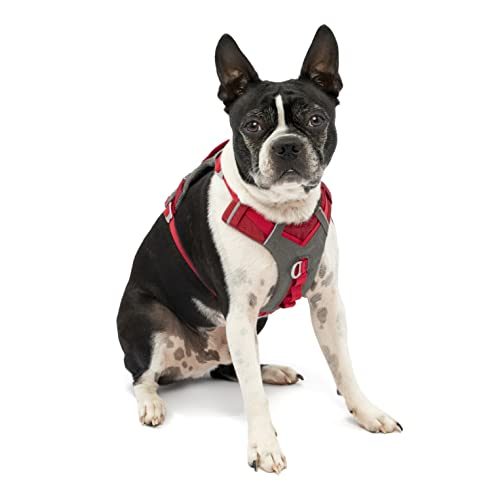 Journey Air Dog Harness (Small / Red)