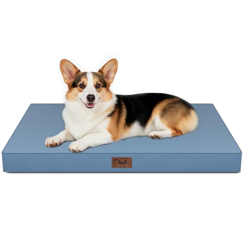 Outdoor Waterproof Orthopedic Dog Bed for Large Dogs (Blue / 36.0"L x 27.0"W x 3.0"Th)