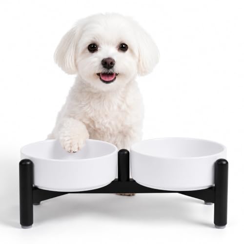 Raised Ceramic Dog Bowl Set with Stand (White / 2 Bowls - 2.1 Cups Each)
