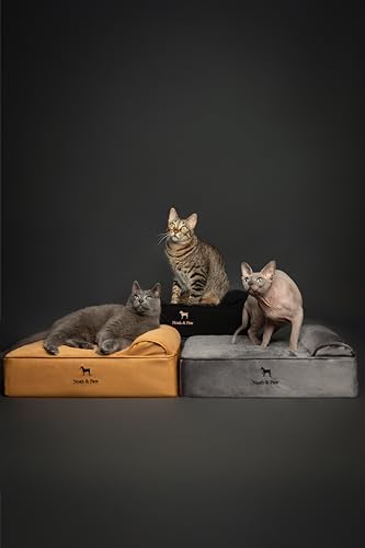 Small Dog Bed (Vegan Leather - Charcoal / Small)