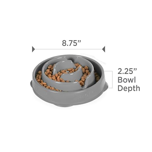 Fun Feeder Slo Bowl Dog Slow Feeder (Gray / Medium)