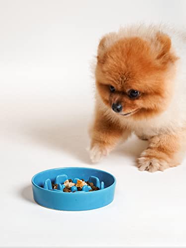 Ceramic Slow Feeder Dog Bowls Small Breed (Vortex Blue / S-0.6 Cups)