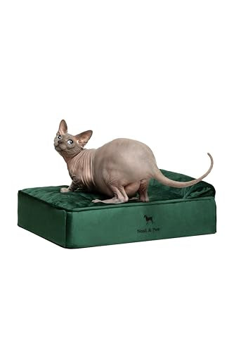 Small Dog Bed (Velvet - Dark Green / Small)