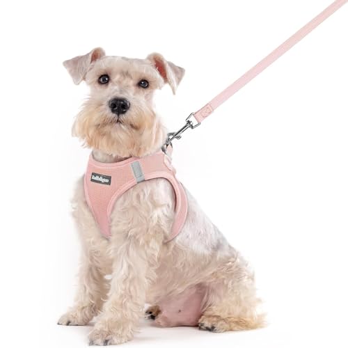 Dog Harness Medium Sized and Leash Set (Pink / Xxl (chest: 21.6 - 23.7"))
