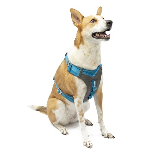 Journey Air Dog Harness (X-Large / Blue)