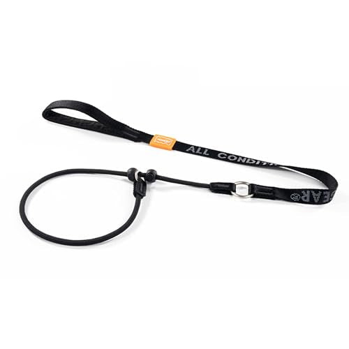 Slip Lead Dog Leash with 2 Spring (Black / 3.6FT)