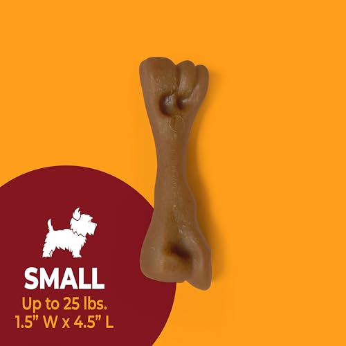 Strong Chew Femur Bone Dog Toy (Femur Bone / Small)