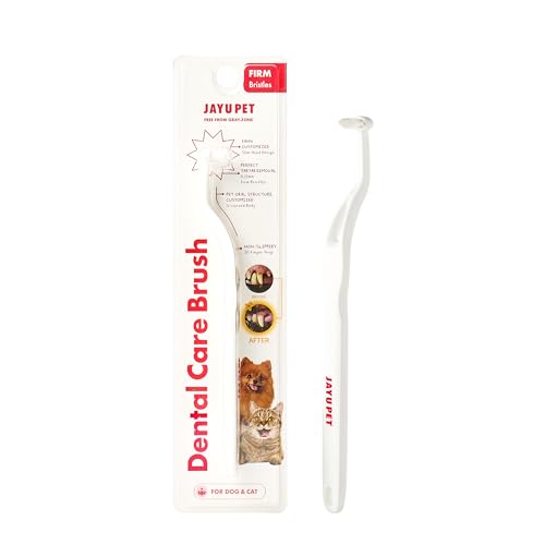 Dental Care Brush with Firm Bristles (Firm Bristles / 1 Count (Pack of 1))