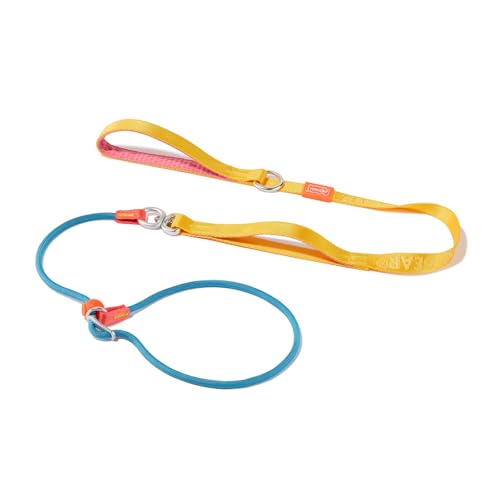 Slip Lead Dog Leash (MultiColor / 5.5FT)
