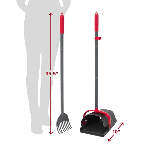 Arm and Hammer Heavy (XL / Swivel and Rake Scooper)