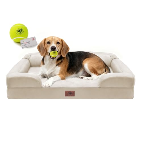 Waterproof Orthopedic Dog Bed for Medium Large Sized Dogs (36 x 27 x 7.5 in / Beige)