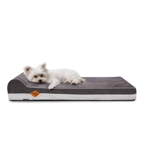 Orthopedic Dog Beds for Large Dogs (34.0"L x 22.0"W x 5.5"Th / Grey)