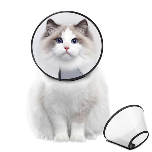 Dog Cone Collar Adjustable After Surgery (White / XS(Neck: 9.5~11.5"))